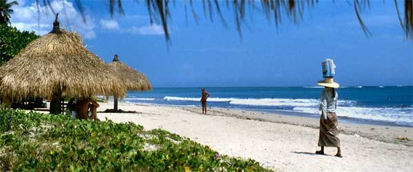 kuta_01_large